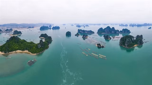 Bái Tử Long Bay. — Photo from Quảng Ninh Newspaper