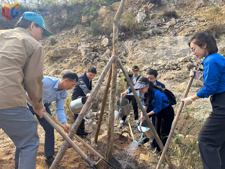 Vice Chairman of the Provincial People's Committee, Nghiem Xuan Cuong, and youth union members planted trees in the talus area of Suoi Tam Pagoda.