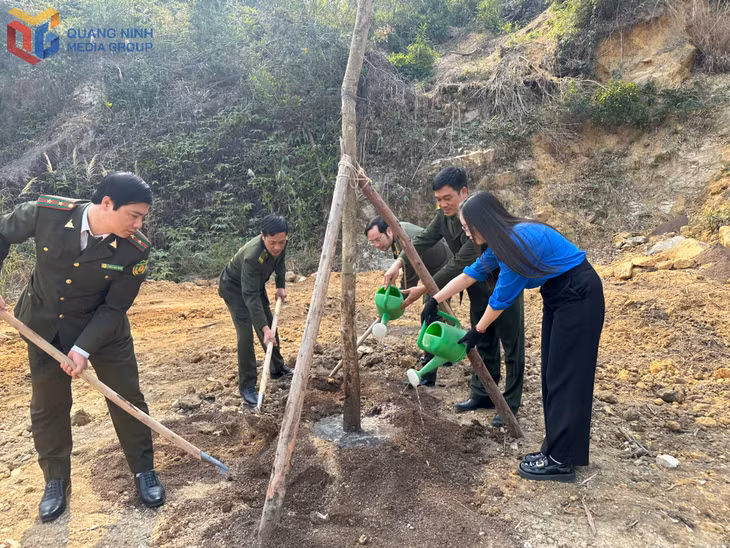 Leaders, officials, and youth union members of the Department of Agriculture and Environment planted trees at the talus area of Suoi Tam Pagoda.