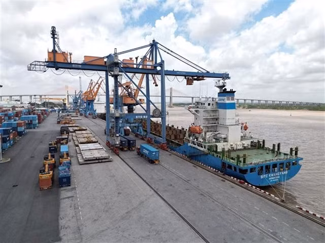 Export activities at Đình Vũ Port, Hải Phòng — VNA/VNS Photo