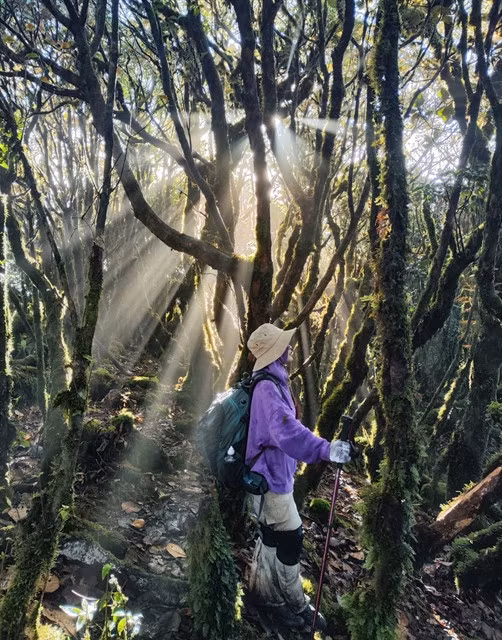 Sa Mu is not a very high and difficult mountain to climb, and is suitable for beginners in mountain climbing and trekking. — Photo laodong.vn