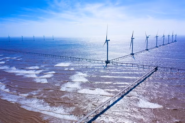 A wind farm in Trà Vinh Province. VNA/VNS Photo