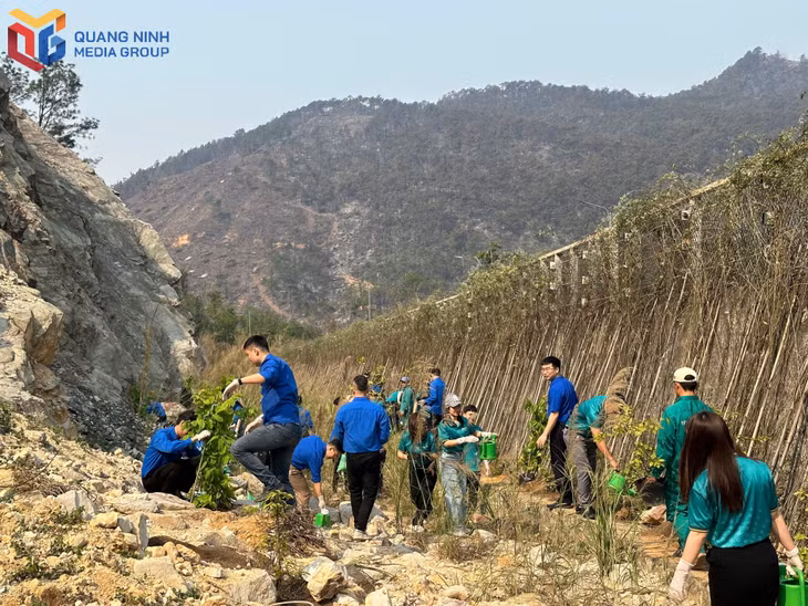 A large number of youth union members from various units participated in tree planting.