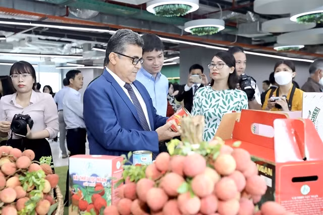 Delegates of the "Vietnamese lychee to the world" forum held in Hà Nội yesterday visited stalls displaying lychee products outside of this forum.