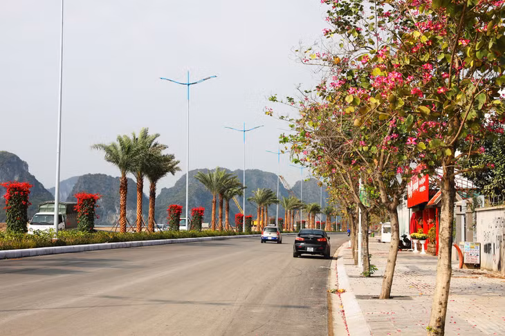 The coastal road of Tran Quoc Nghien