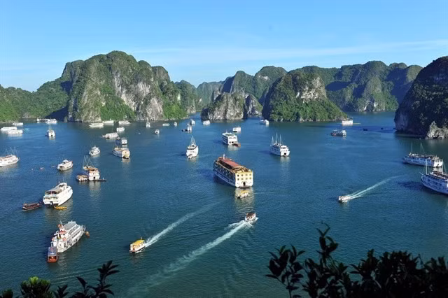 An overview of the Hạ Long Bay in the northern coastal province of Quảng Ninh.
