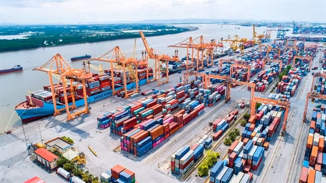 Hải Phòng port cluster in Hải Phòng City. In 2023, the business activities of the entire seaport industry were weak due to declining external demand, especially from key export markets such as the United States and Europe. — VNA/VNS Photo