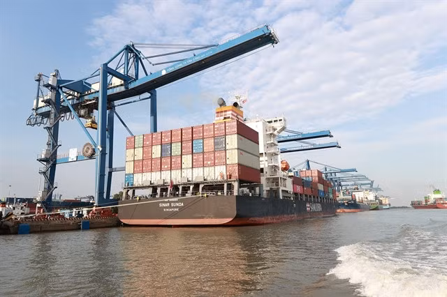 Ships unload goods at Tân Cảng Cát Lái Port. — VNA/VNS Photo Văn Giang