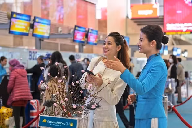 Vietnam Airlines transports apricot, peach blossoms for Tet hinh anh 1