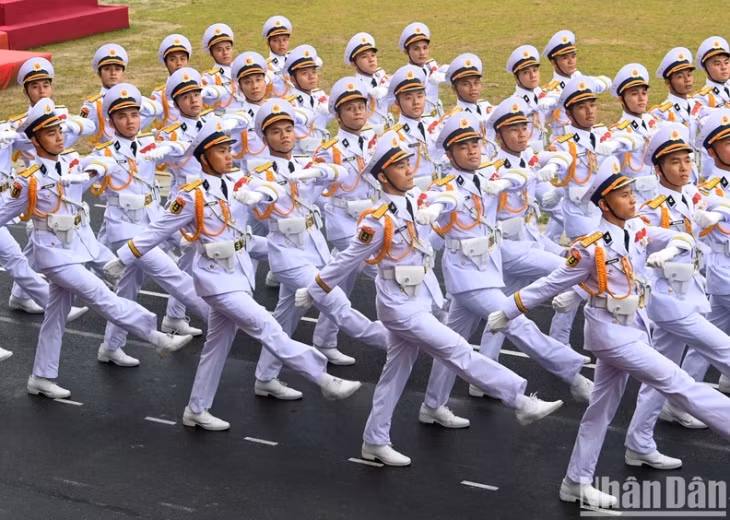 The formation of Vietnam People's Navy officers