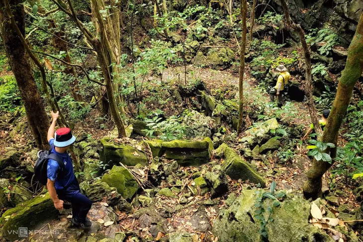 A day in the wild: trekking through Cat Ba National Park ảnh 12 A day in the wild: trekking through Cat Ba National Park