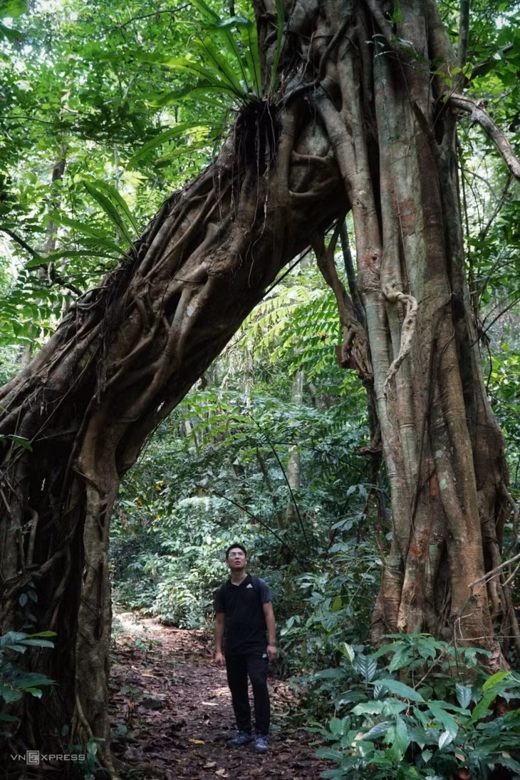 A day in the wild: trekking through Cat Ba National Park ảnh 7 A day in the wild: trekking through Cat Ba National Park