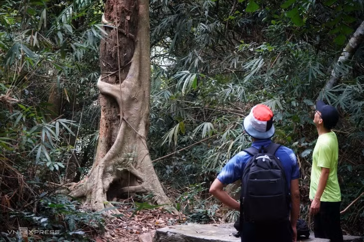 A day in the wild: trekking through Cat Ba National Park ảnh 8 A day in the wild: trekking through Cat Ba National Park