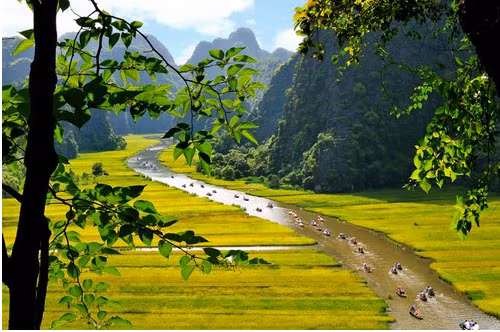 A photograph titled 'Chiều Vàng Tam Cốc' (Tam Cốc in Golden Afternoon) by Ninh Mạnh Thắng. — Photo vamvo.com