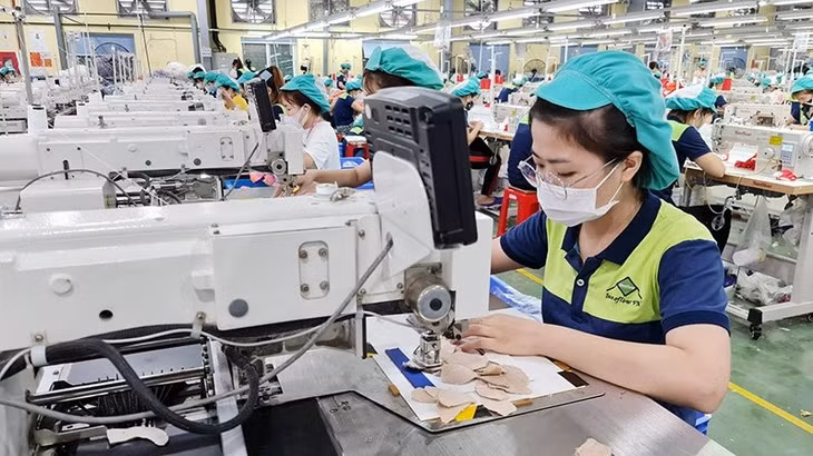 Workers at a factory of Inoflow Vina in Thai Binh Province (Photo: Mai Tu)
