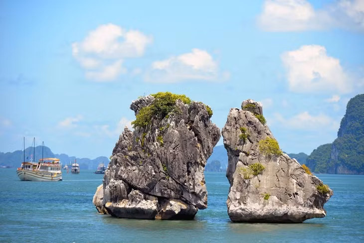 Hon Trong Mai (Rooster and Hen islet) is the symbol of Ha Long tourism. It is also known as hon Ga Choi (Gamecocks islet). (Photo: VNA)