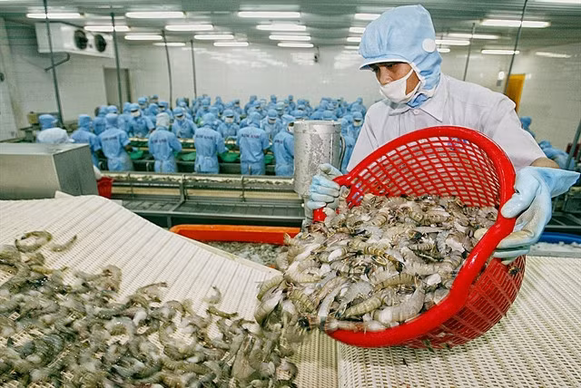 In July, the growth rate of seafood exports continued to slow down to 14 per cent on the year, earning $970 million.