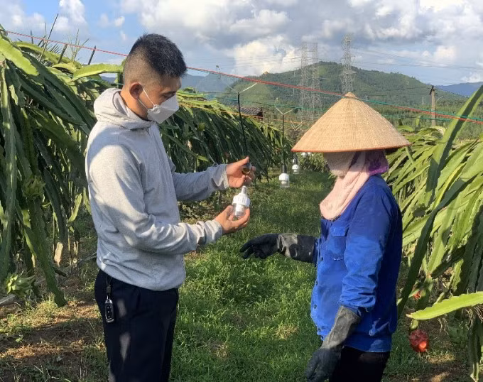 A technical officer is teaching farmers how to use LED lights. Photo: Nguyen Thanh.