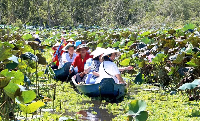 Tourists visit the Trà Sư cajuput forest in Tịnh Biên Town, An Giang southern province. The region is in need of high quality labour in the field of tourism field. — VNA/VNS Photo Công Mạo