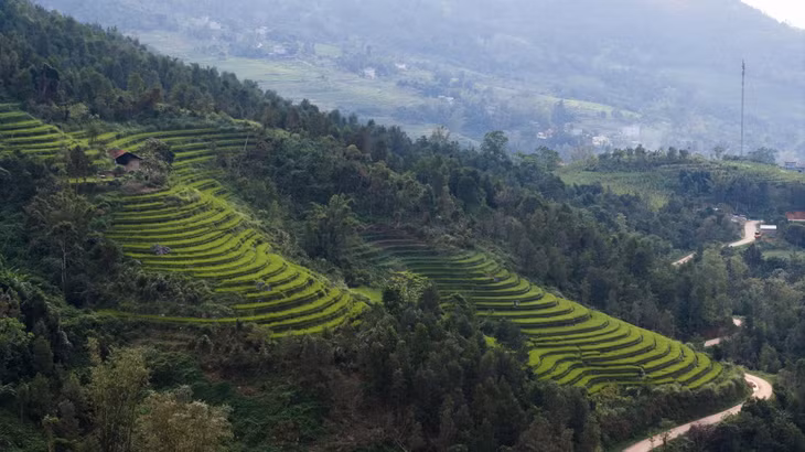 Terraced rice fields in Binh Lieu ảnh 8 Terraced rice fields in Binh Lieu ảnh 8