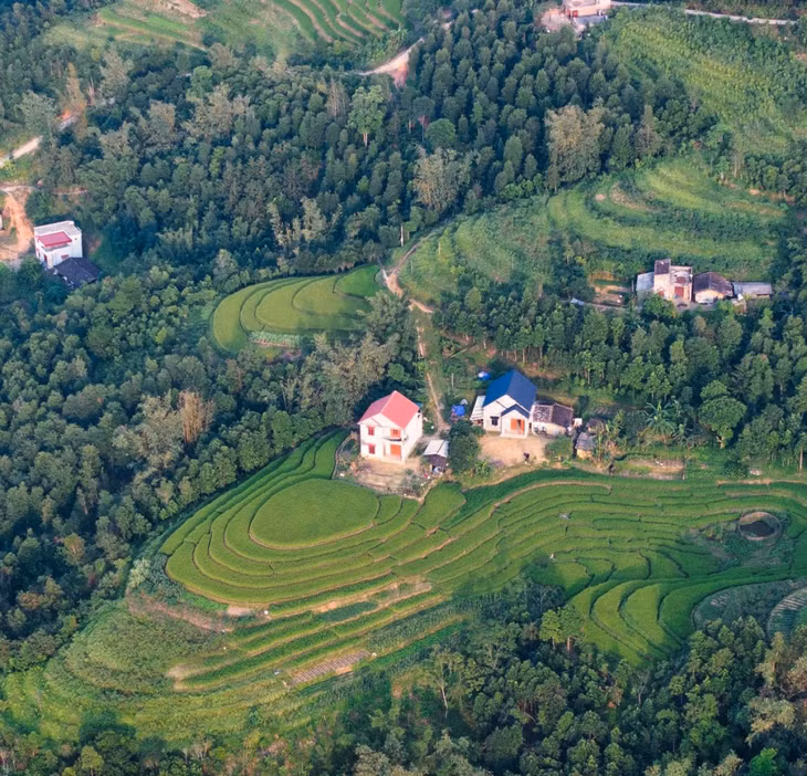 Terraced rice fields in Binh Lieu ảnh 3 Terraced rice fields in Binh Lieu ảnh 3