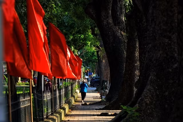 A colourful display of flags on a street.