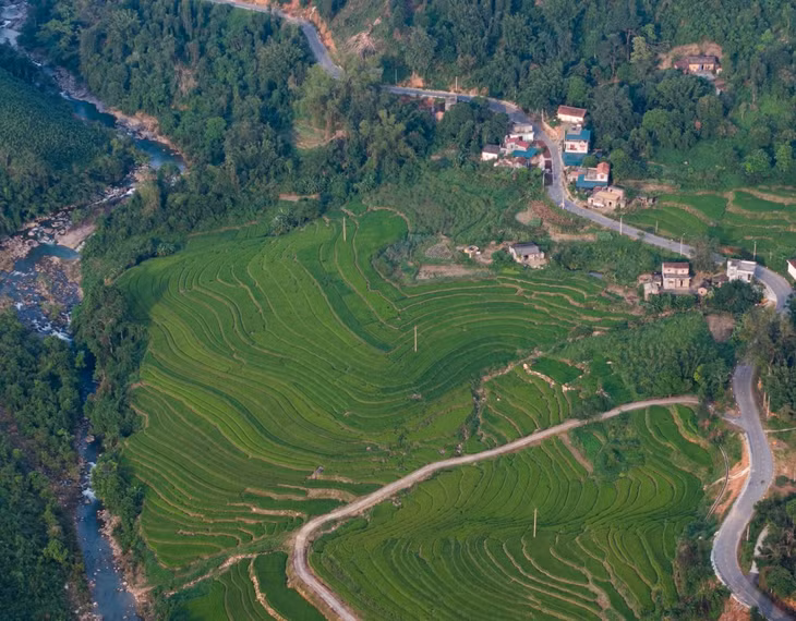 Terraced rice fields in Binh Lieu ảnh 5 Terraced rice fields in Binh Lieu ảnh 5