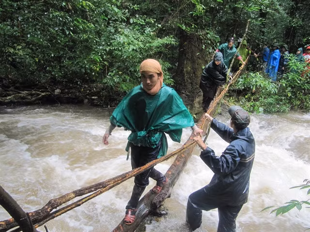 Young students join a field trip in the jungle. Biodiversity research needs the involvement of younger generations for long-term conservation of nature in Việt Nam. — VNS Photo Công Thành