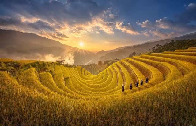 Y Tý is a beautiful destination during the ripe rice season.— Photo vietsensetravel.com