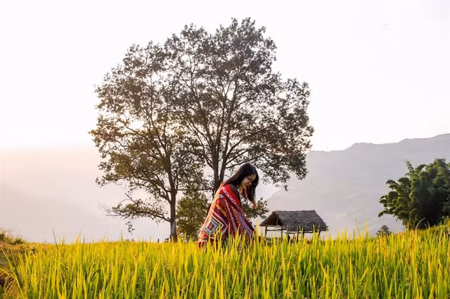 A tourist takes photo next to a rice field in Y Tý. — Photo vietmountaintravel.com