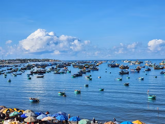 Fishing activities near the shore of Mũi Né, in the south-central province of Ninh Thuận. — VNS Photo Trọng Kiên