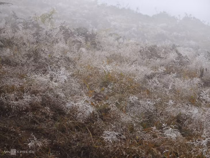 Frost blankets high mountain peaks in northern Vietnam
