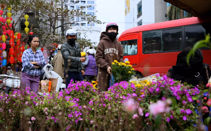 Clusters of chrysanthemums in various types and vibrant colors.