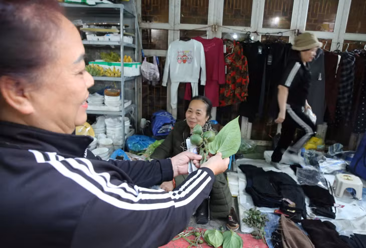 Betel nuts and betel leaves are also indispensable in the traditional Tet offerings of the Vietnamese people.