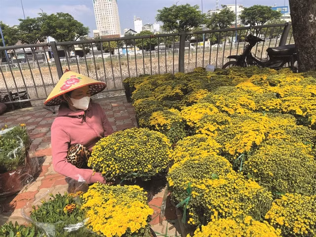 READY FOR SALE: A woman sets up her flower stall at the Flower Fair, a popular Tết event at Bình Đông Wharf in HCM City’s District 8, from January 14-28. VNA/VNS Photo