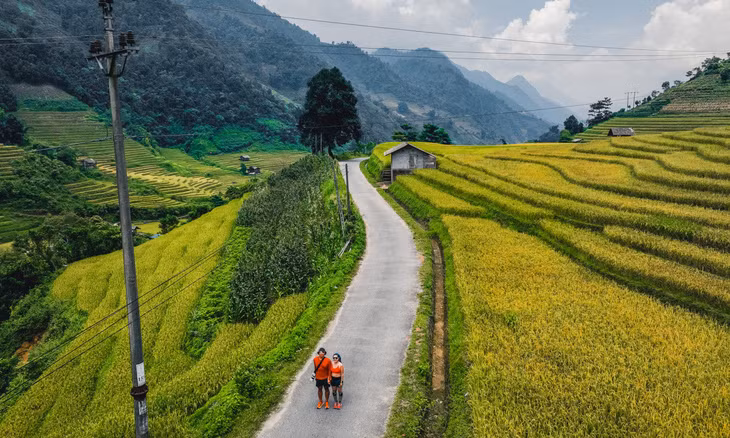 Nam Cang: embracing nature's golden season in the highlands ảnh 2 Nam Cang: embracing nature's golden season in the highlands