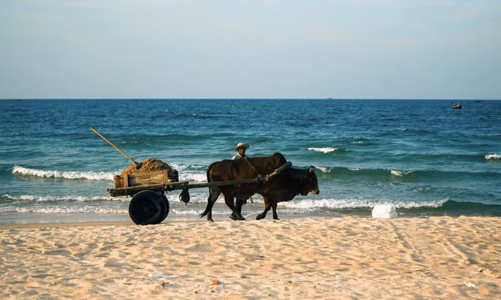 Nature's symphony: Finding bliss at Hue beach