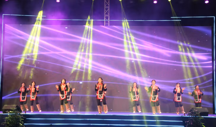 A music show was held in the opening ceremony of the festival.