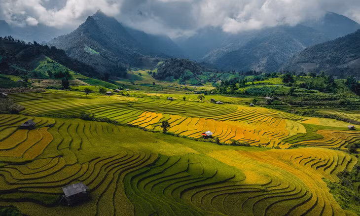 Nam Cang: embracing nature's golden season in the highlands ảnh 1 Nam Cang: embracing nature's golden season in the highlands