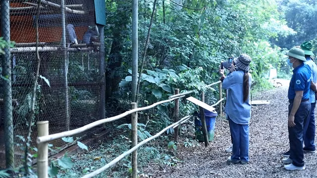 In front of each cage in CRCDC, there is an information board, including name, gender, time of rescue and number of individuals. There are various meaningful stories behind each of those names, associated with the rescue story and memories of the researchers here. VNS Photo Đoàn Tùng.