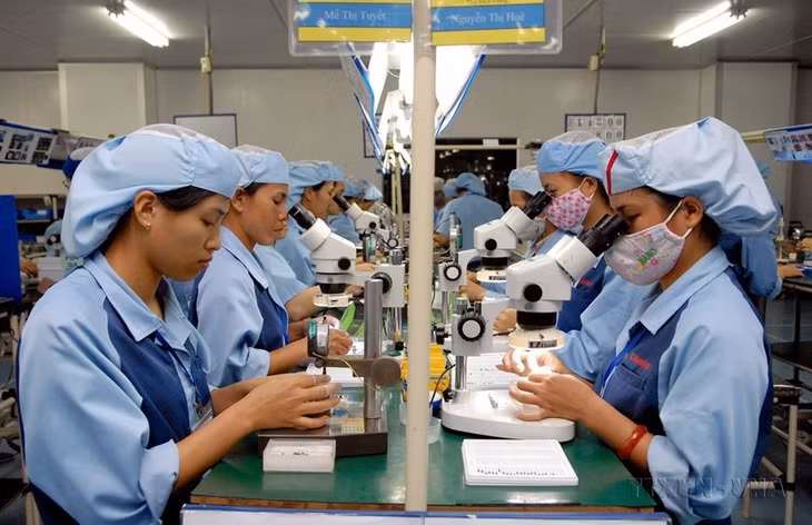 Accounting for over 50 per cent of the population and more than 48 per cent of the social workforce, Vietnamese women are present in every facet of society. In the photo: Female workers produce electronic components at the Canon factory in the Pho Noi A Industrial Park in Hung Yen province. (Photo: VNA)