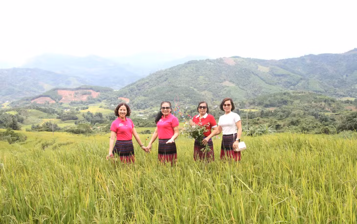 The charming beauty of terraced fields attracts lots of visitors.