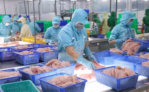 Seafood exports bustle again in year-end period hinh anh 1