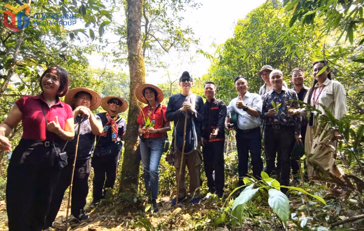 Experts and visitors enjoy taking photos with ancient tea tree recognized as Vietnamese Heritage Tree.
