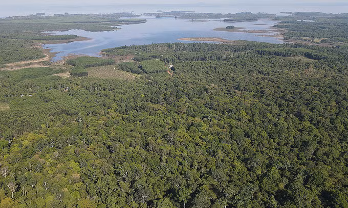 PM decides not to build highway through UNESCO biosphere