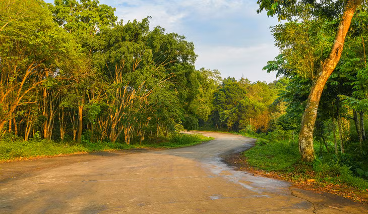 Three Vietnam parks win prizes at World Travel Awards ảnh 1 Three Vietnam parks win prizes at World Travel Awards