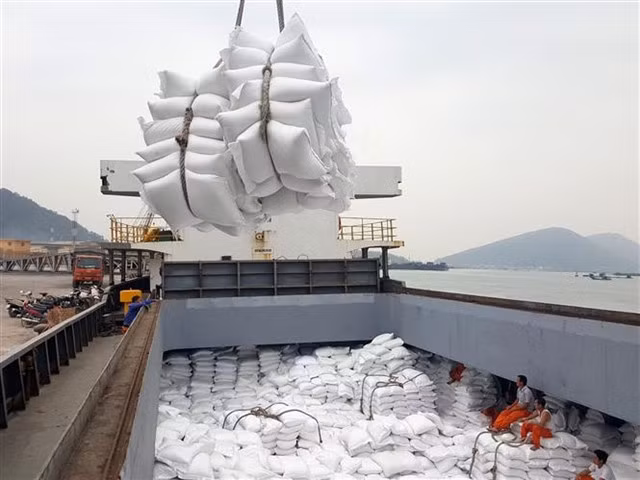 Bags of rice are loaded on to a ship for exports. Việt Nam is expected to export 6.5- 6.7 million tonnes in 2022 for US$3.3 billion. — VNA/VNS Photo
