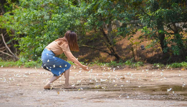 Three Vietnam parks win prizes at World Travel Awards ảnh 2 Three Vietnam parks win prizes at World Travel Awards