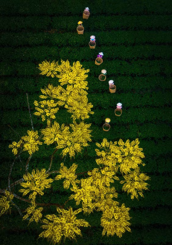 Vietnam drone pics honored at int’l aerial photo contest ảnh 5 Vietnam drone pics honored at int’l aerial photo contest