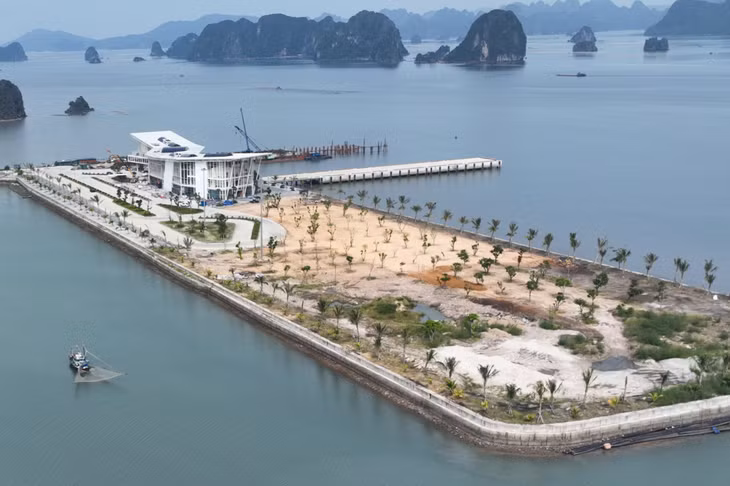 Green spaces are involved in the design of the port.